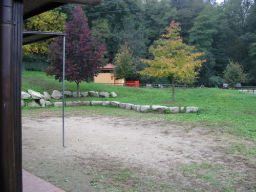 dettaglio terreno